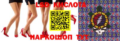 PSILOCYBIN Заводоуковск