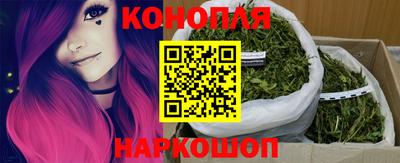 PSILOCYBIN Заводоуковск