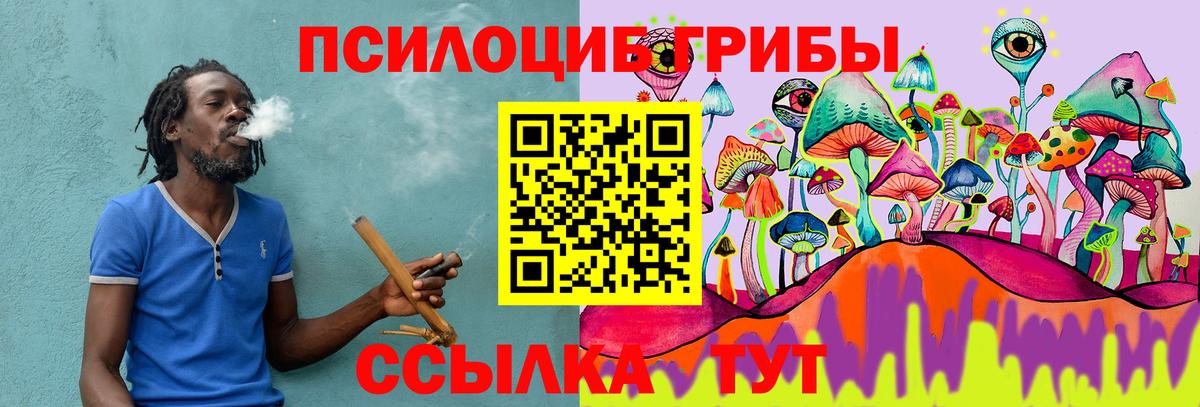Красноуфимск  Галлюциногенные грибы прущие грибы  Вход с VPN 